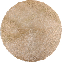 Серветка під гаряче 38см KYYW246