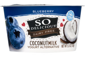 So Delicious Dairy Free Coconut Milk Yogurt Alternative Blueberry
