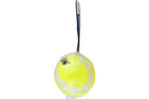 Spot Beyond Tough Tennis Dog Toy - 2 CT