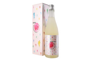 Саке Beyond the Wall Attack On Titan Dina Model