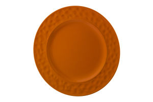 Smart Living Dinner Plate