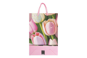 Пакет паперовий Jumbo Flores 33*12,7*47,7см в асортименті Malevaro