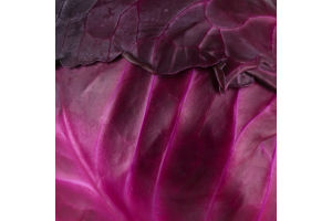 Капуста червона рання