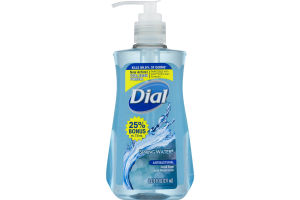 Dial Antibacterial Hand Soap Spring Water