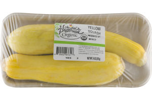 Nature's Promise Organic Squash Yellow - 2 CT