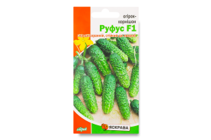Насіння Огірок Руфус F1 корнішон 0,5г Яскрава