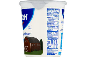 Dannon Nonfat Yogurt Plain