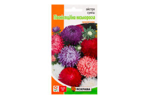 Насіння Квіти Айстра суміш півонієподібна низькоросла 0,3г Яскрава