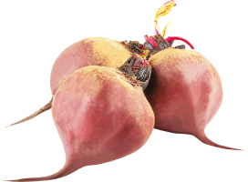 Свекла молодая