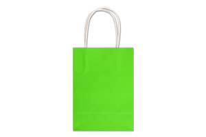Пакет подарочный микс цветов 18х13х8см №1440657 Крафт Greenwich Products Co. Limited 1шт