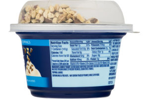 Dannon Oikos Nonfat Yogurt Crunch Vanilla Almond