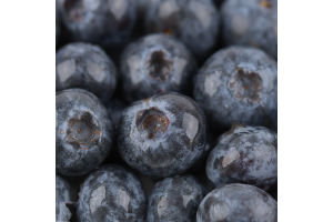 Лохина Сільпо