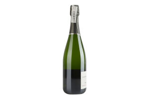 Шампанское 0.75л 12% белое полусухое Demi-Sec AOC Premier Cru Pierre Trichet бут