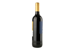 Вино 0.75л 12% красное сухое Tinto Seco Bons бут