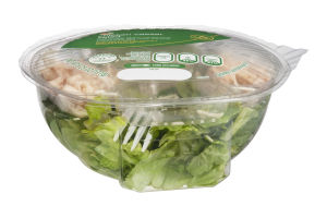 Ahold Chicken Caesar Salad