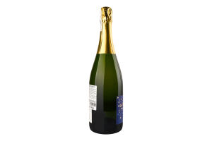 Вино ігр Domaine Anne Gros La Fun en Bulles PN/Chr