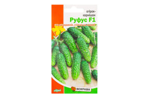 Насіння Огірок Руфус F1 корнішон 0,5г Яскрава