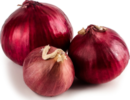 Цибуля синя рання В*