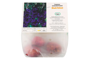 Цибулина Гладіолус Блек Вельвет 3шт Яскрава