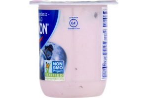 Dannon Whole Milk Yogurt Blueberry