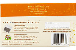 Celestial Seasonings Sweet Harvest Pumpkin Black Tea - 20 CT