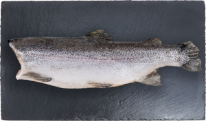 Форель с/м 2,7-3,6 кг