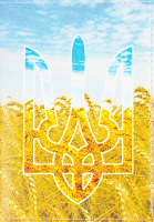 Обкладинка на паспорт Герб пшениця Cover! 1шт