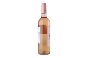 Вино б/а Djongo р/екстрасухе 0% 0,75л
