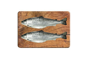 Семга (лосось) 0,5-2кг охлажденный  