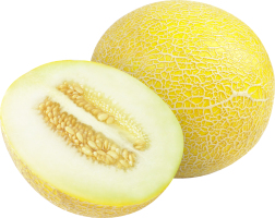 Дыня Галия органическая