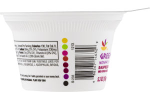 Ahold Greek Nonfat Yogurt Raspberry