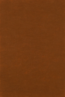 Фетр жорсткий 1мм 20x30см A90-св.кор D001-A-R01-C1