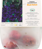 Цибулина Гладіолус Блек Вельвет 3шт Яскрава