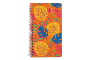 Смарт-блокнот А6 в лінію на пружині 60аркушів Тетрада