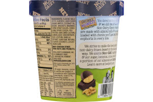 Ben & Jerry's Non-Dairy Frozen Dessert Chunky Monkey