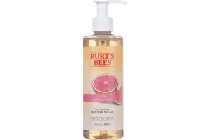 Burt's Bees Extra Energizing Citrus & Ginger Hand Soap