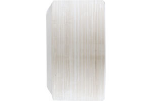 Ahold Elegant Plates Premium Strength Dinner Plate 10.3 IN - 100 CT