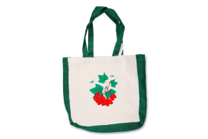 Торбинка з малюнком 37*37*8см ручка 62см Тетрада