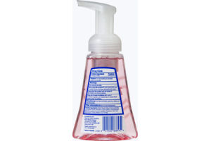 CareOne Foaming Antibacterial Cherry/Almond Hand Soap