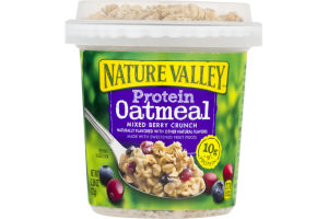 Nature Valley Protein Oatmeal Mixed Berry Crunch