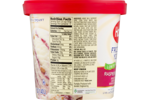 Hood Frozen Yogurt Low Fat Raspberry Crunch