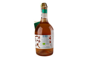 Вино ігристе Corvezzo Shake me Rose Raboso