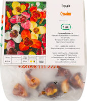 Цибулина Тігрідія суміш 5шт Яскрава