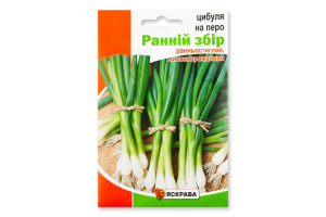 Насіння Цибуля на перо Ранній збір пакет гігант 5г Яскрава
