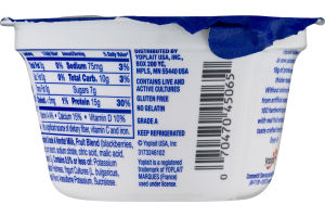 Yoplait Greek 100 Protein Fat Free Yogurt Blackberry Pie