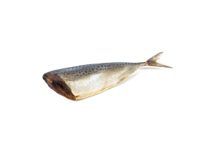 Скумбрия голубая провесная