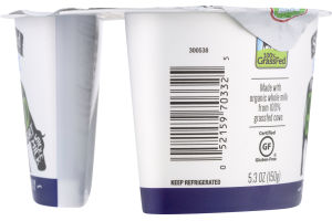 Stonyfield Organic Greek 100% Grassfed Whole Milk Yogurt Blueberry