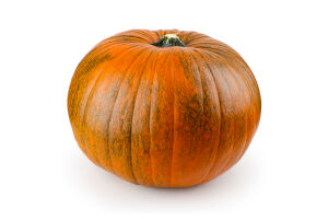 Гарбуз Коннектикут