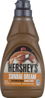 HERSHEY'S SUNDAE DREAM Caramel Syrup