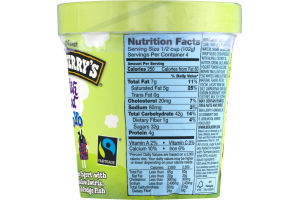 Ben & Jerry's Phish Food Fro Yo